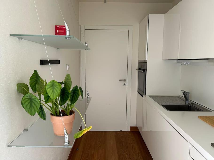 Appartamento Casa Alegria Trento Esterno foto
